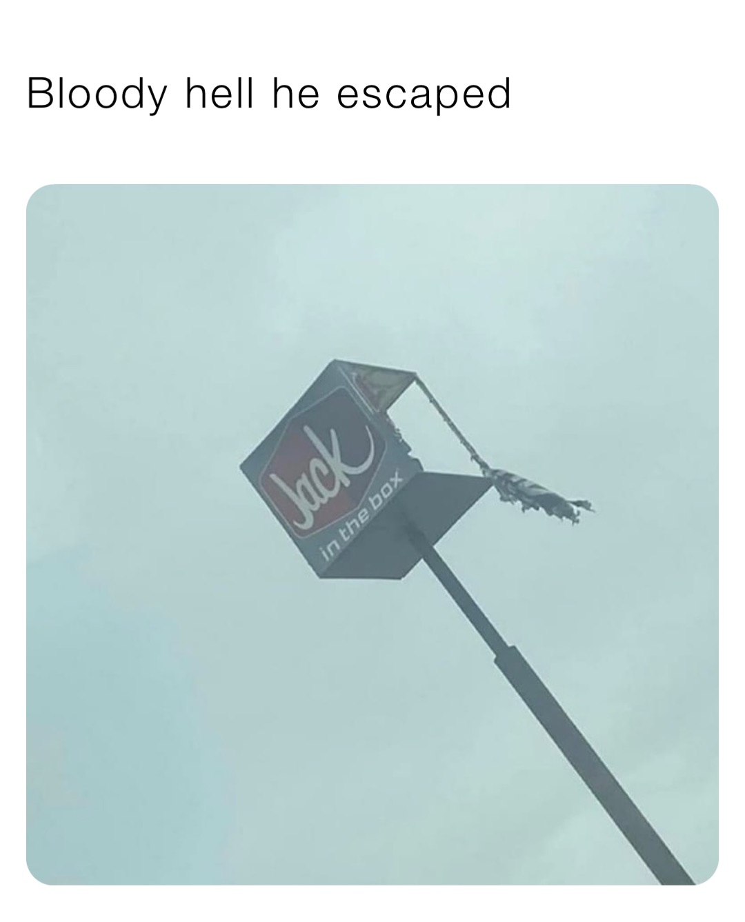 Bloody hell he escaped