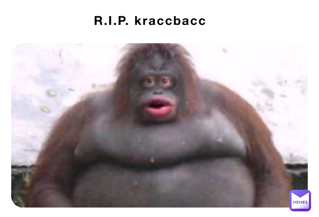 R.I.P. kraccbacc
