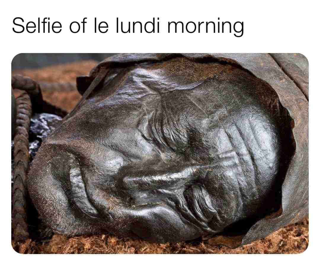 My meme journey beginning like