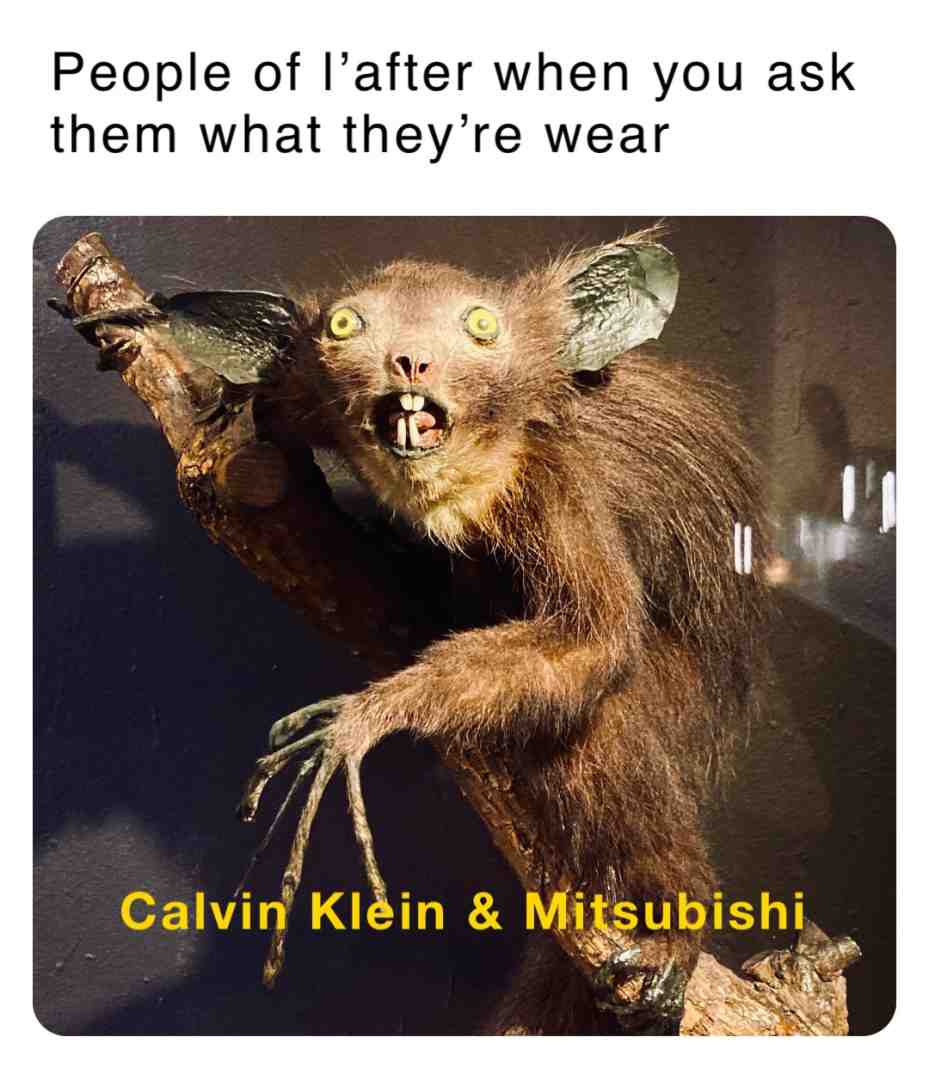 Meme shared by @legrandnico