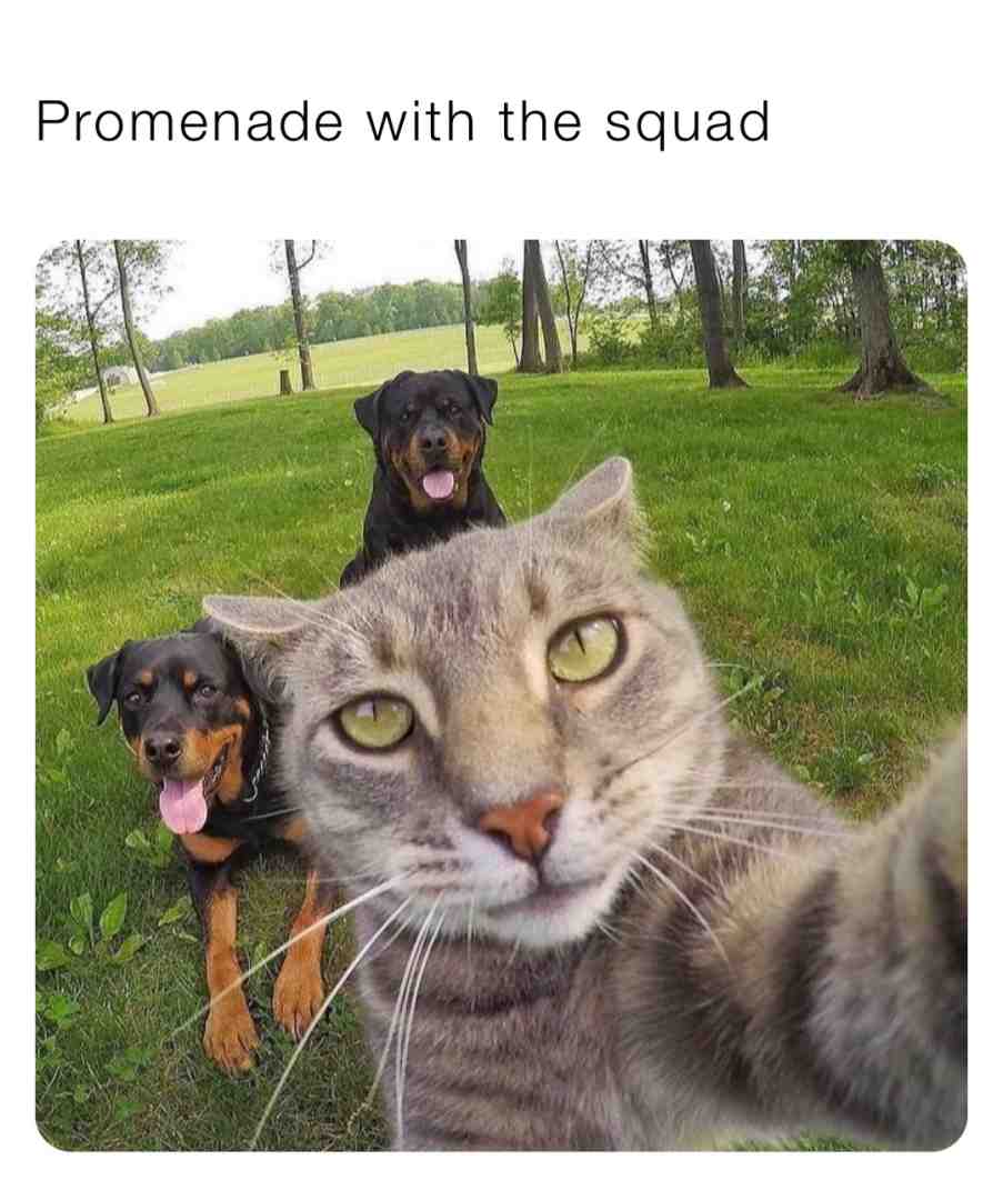 #promenade  #squad