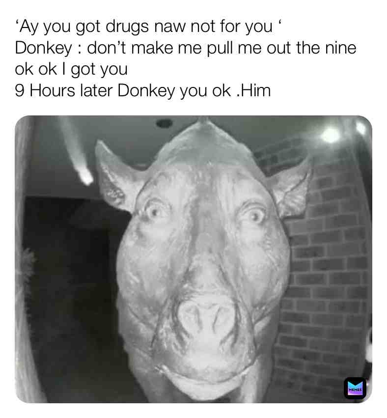 #donkey drudged #likethis