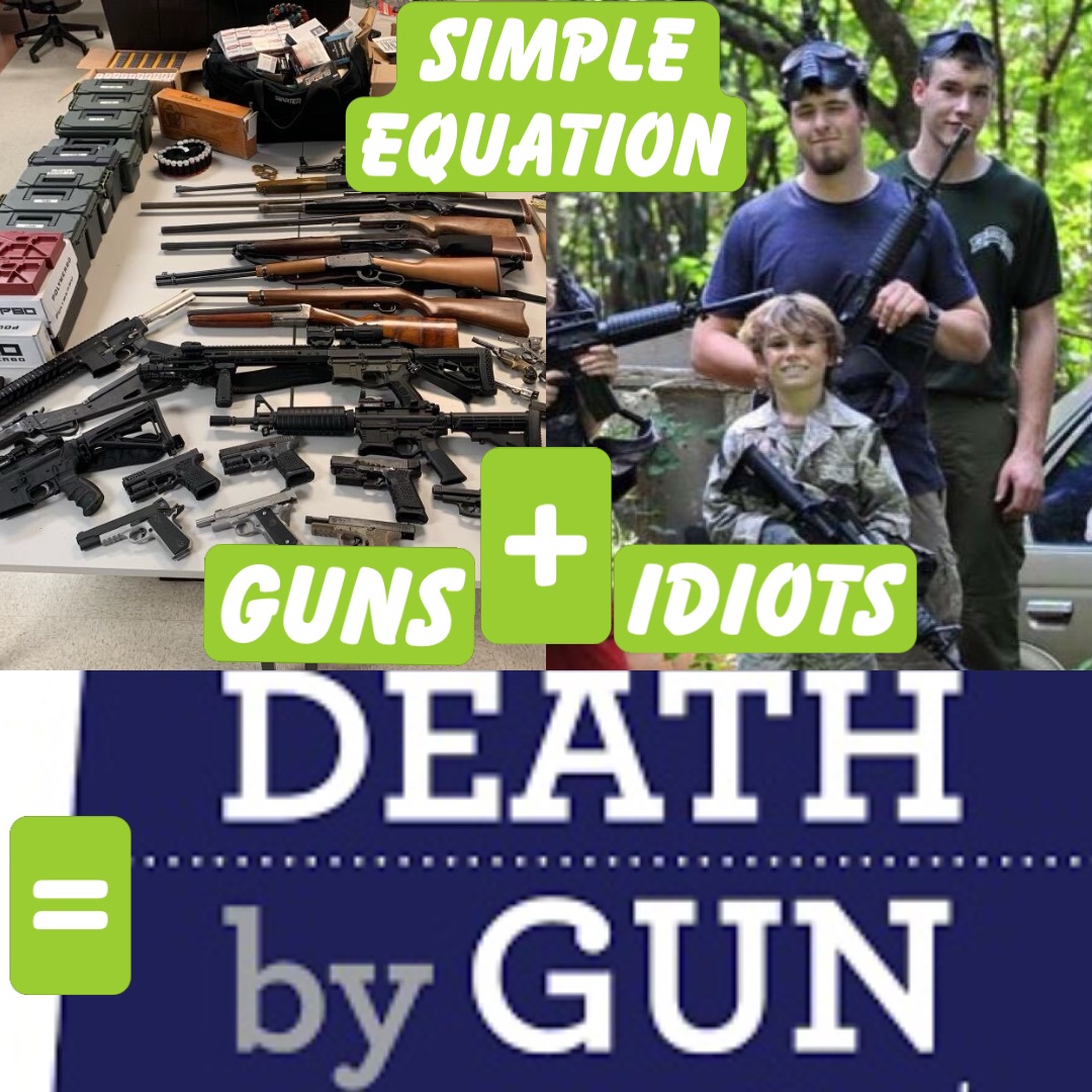 Simple 
Equation + = Guns Idiots