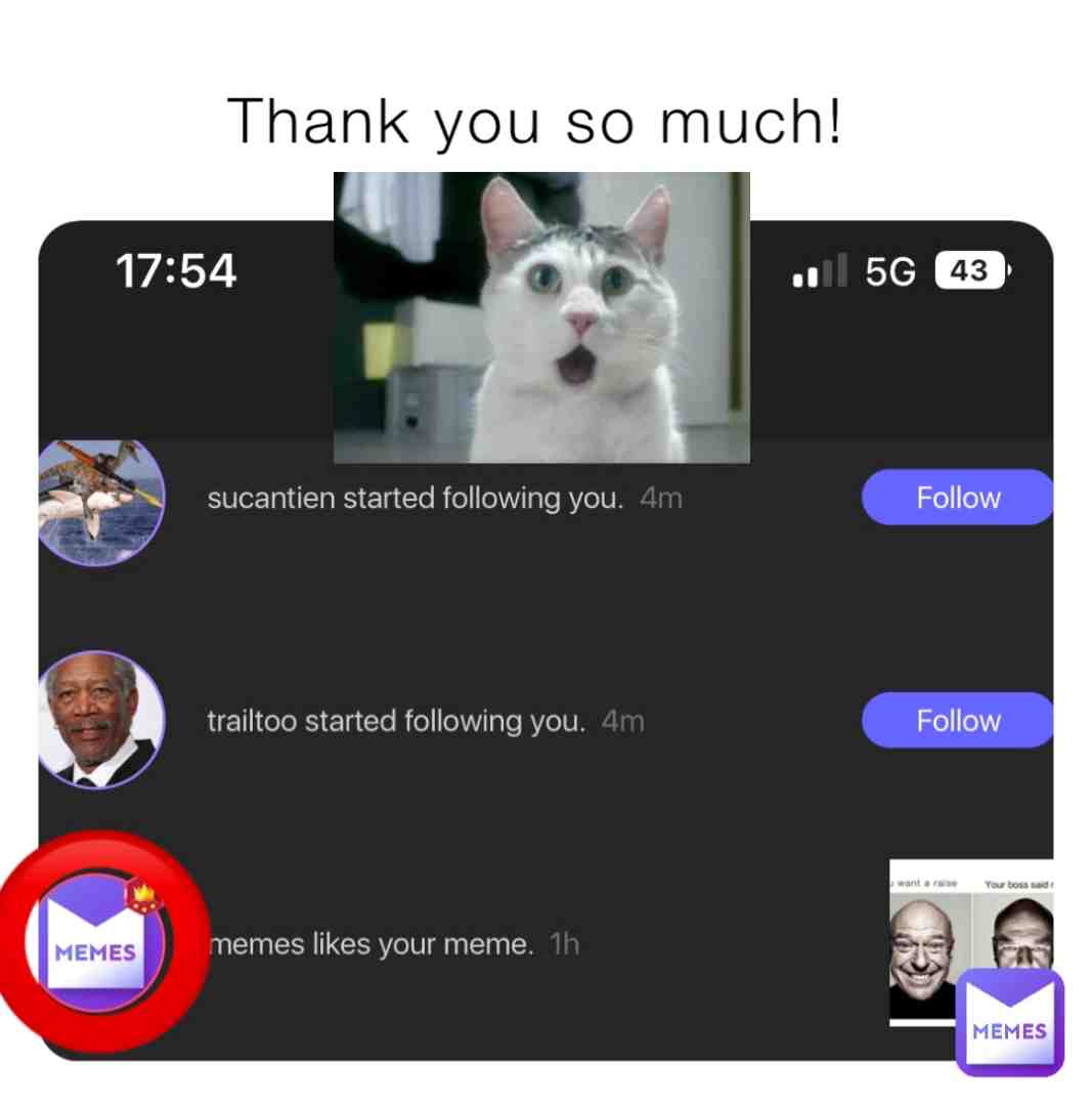 Thank you memes!