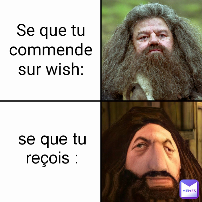 se que tu reçois : Se que tu commende sur wish: