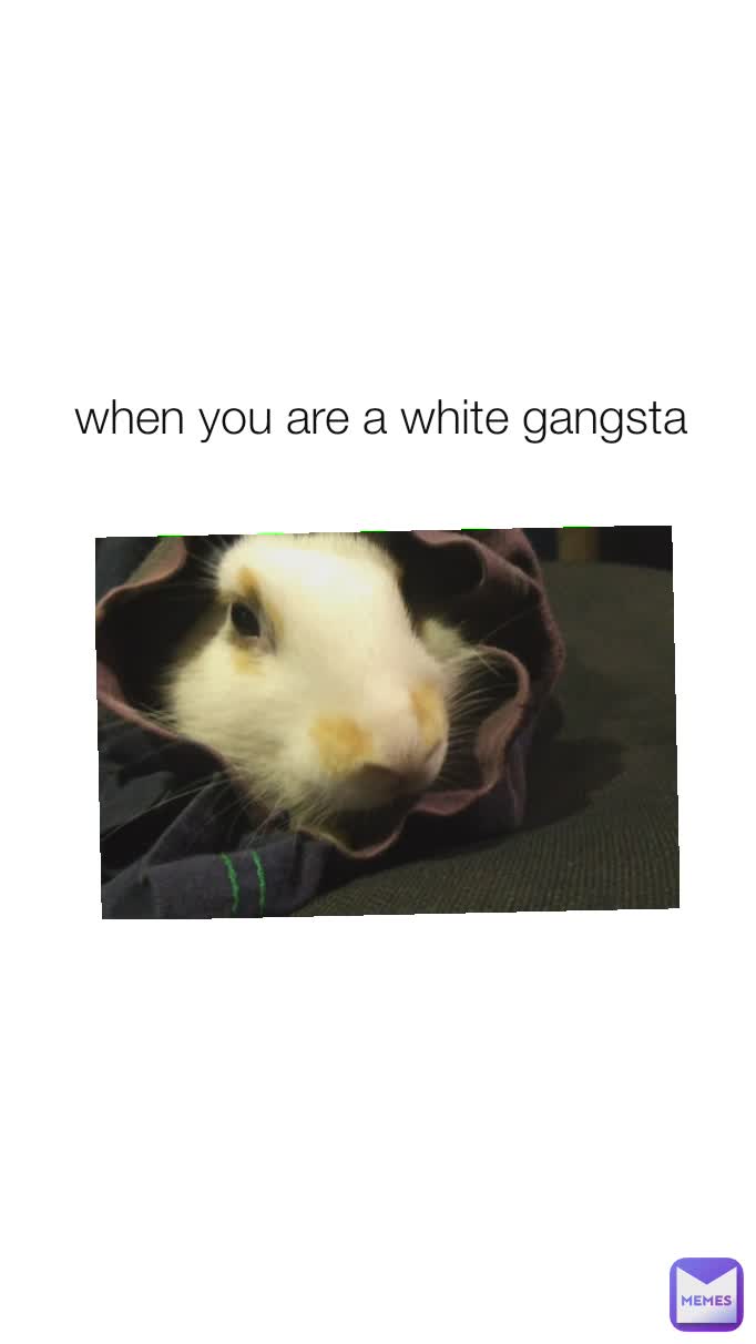 when you are a white gangsta 