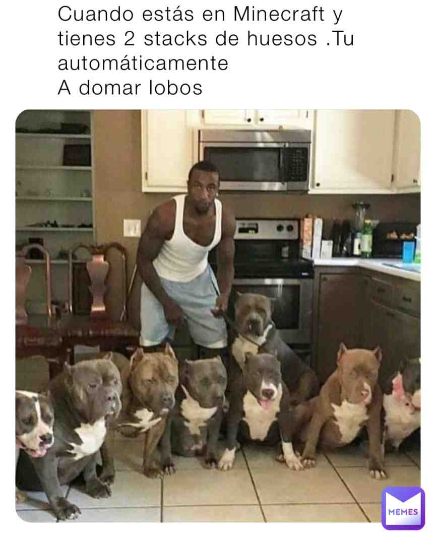Meme shared by @catoy