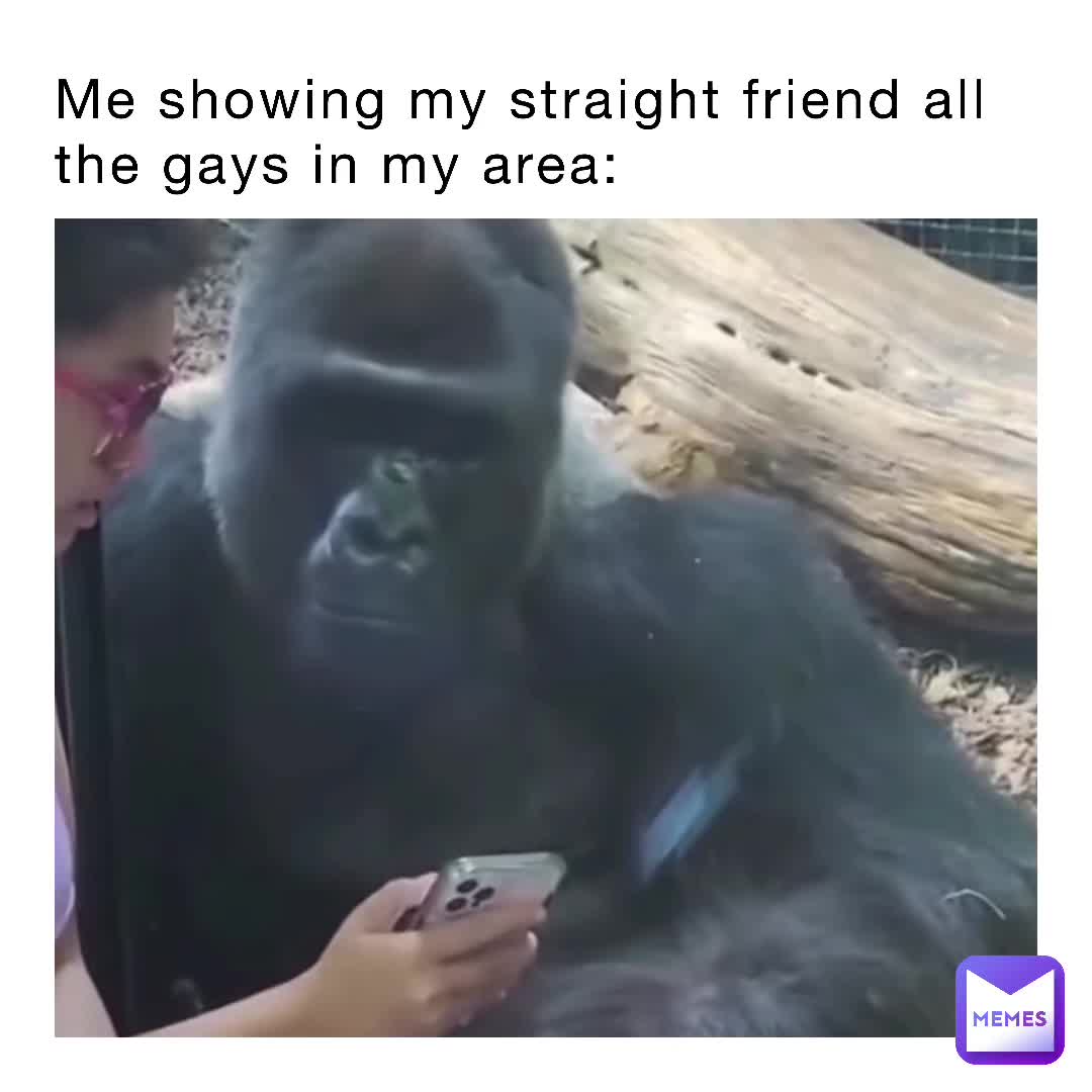 Showing my straight friend all the gays in my are