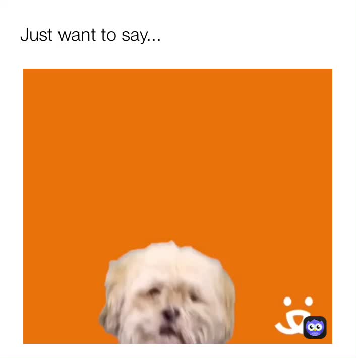 Meme shared by @whatipmy_guys