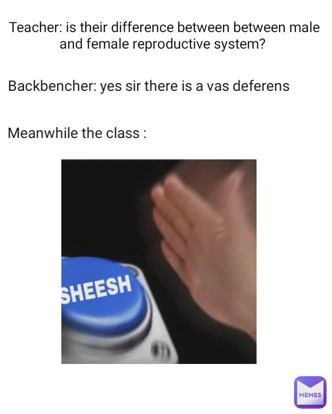  Teacher: is their difference between between male and female reproductive system? Backbencher: yes sir there is a vas deferens   Meanwhile the class :