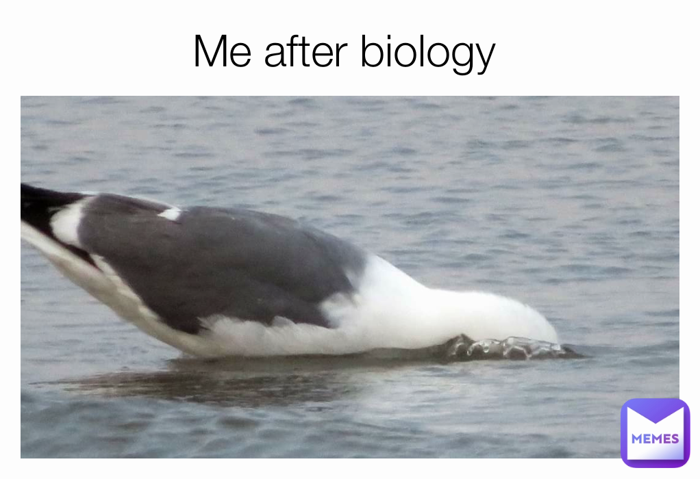Me after biology 