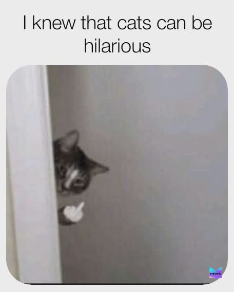 Meme by KJ_H_offcial