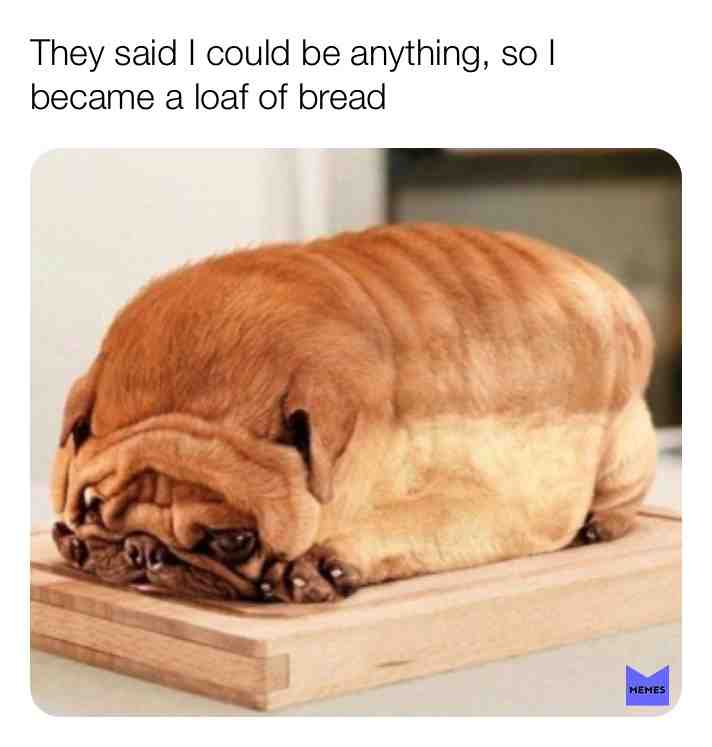 Meme shared by @avagee11