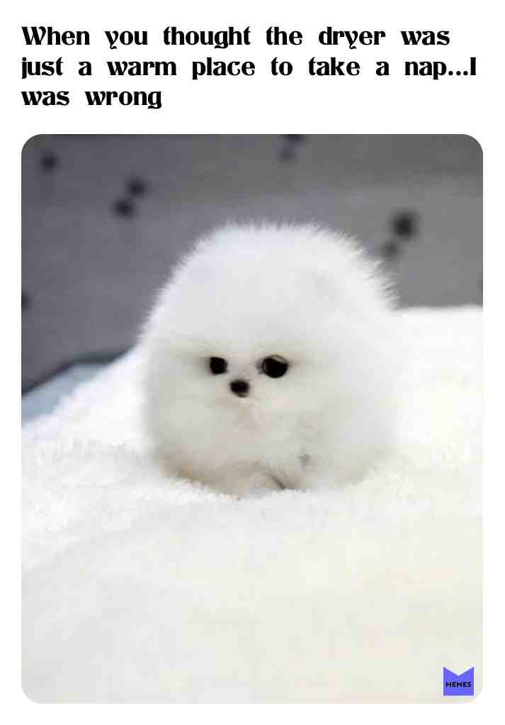 Meme shared by @avagee11