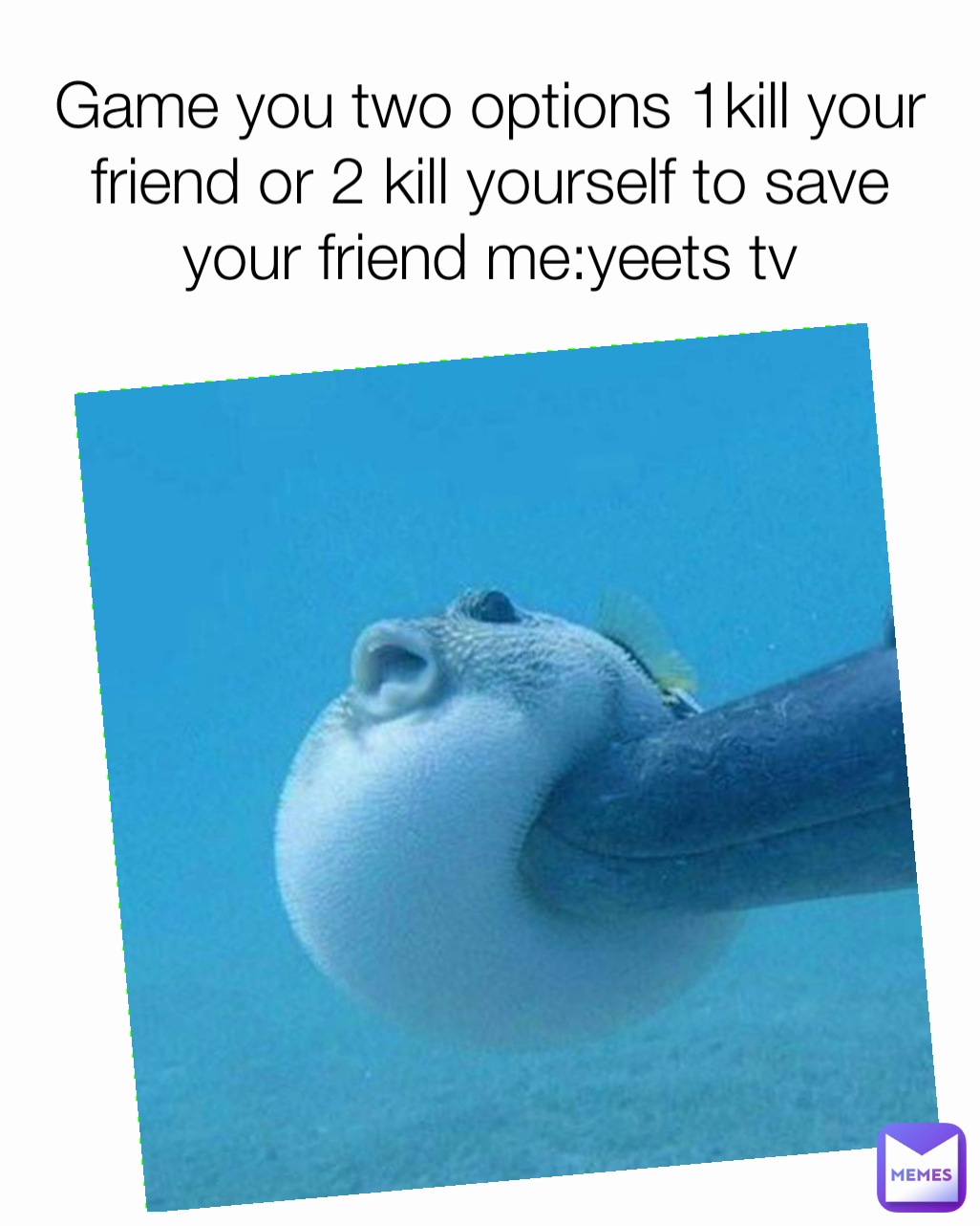 Game you two options 1kill your friend or 2 kill yourself to save your friend me:yeets tv