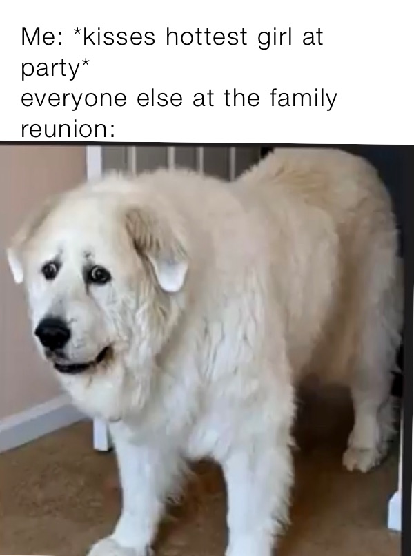 Meme by TheCurlyComrade