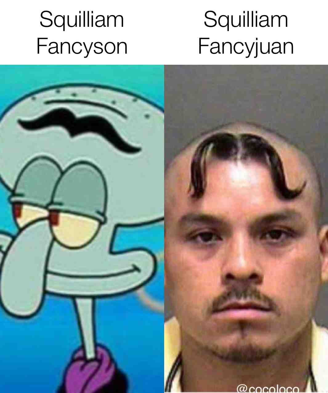 Squilliam in the hood.
  #spongebob  \u200b #squilliam  #fancy  #hood  #fancyjuan