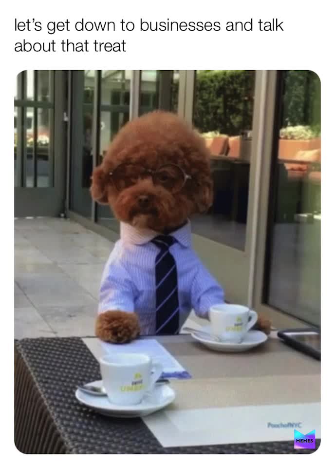 I felt this was hilarious🤣
