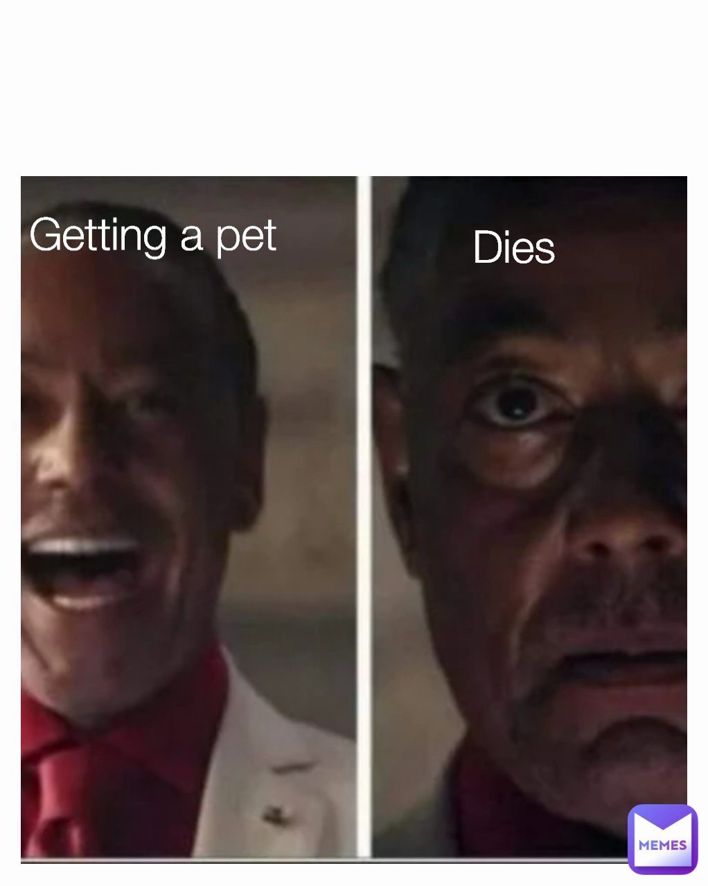 Getting a pet Dies