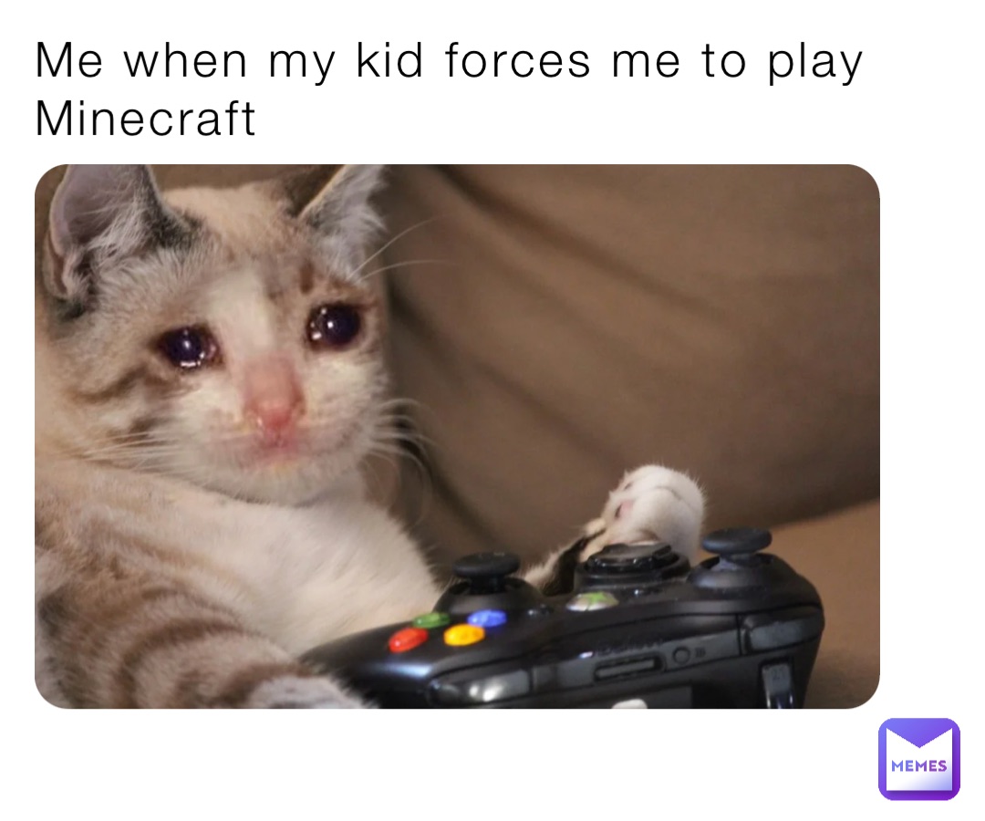 Me when my kid forces me to play Minecraft