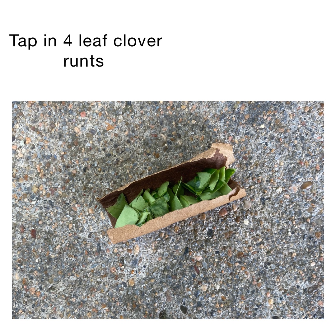 Tap in 4 leaf clover runts