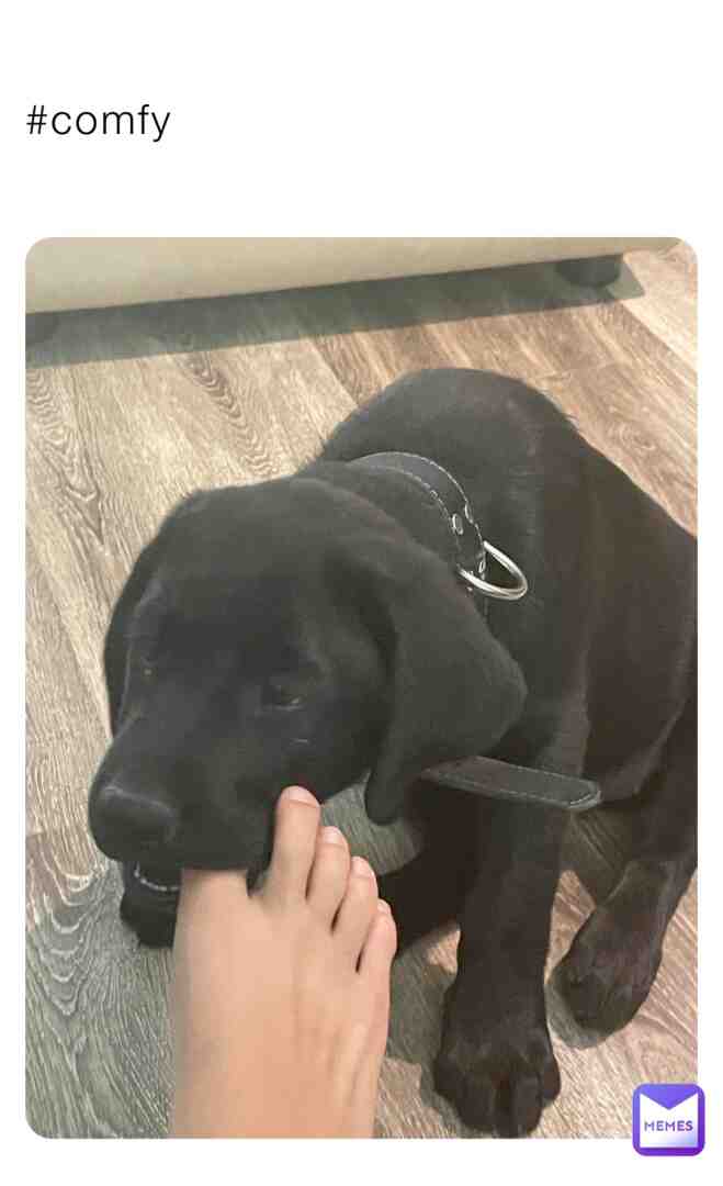 Meme preview