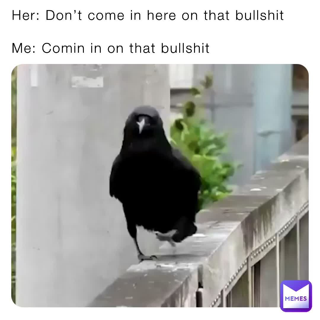 Always on that bullshit
