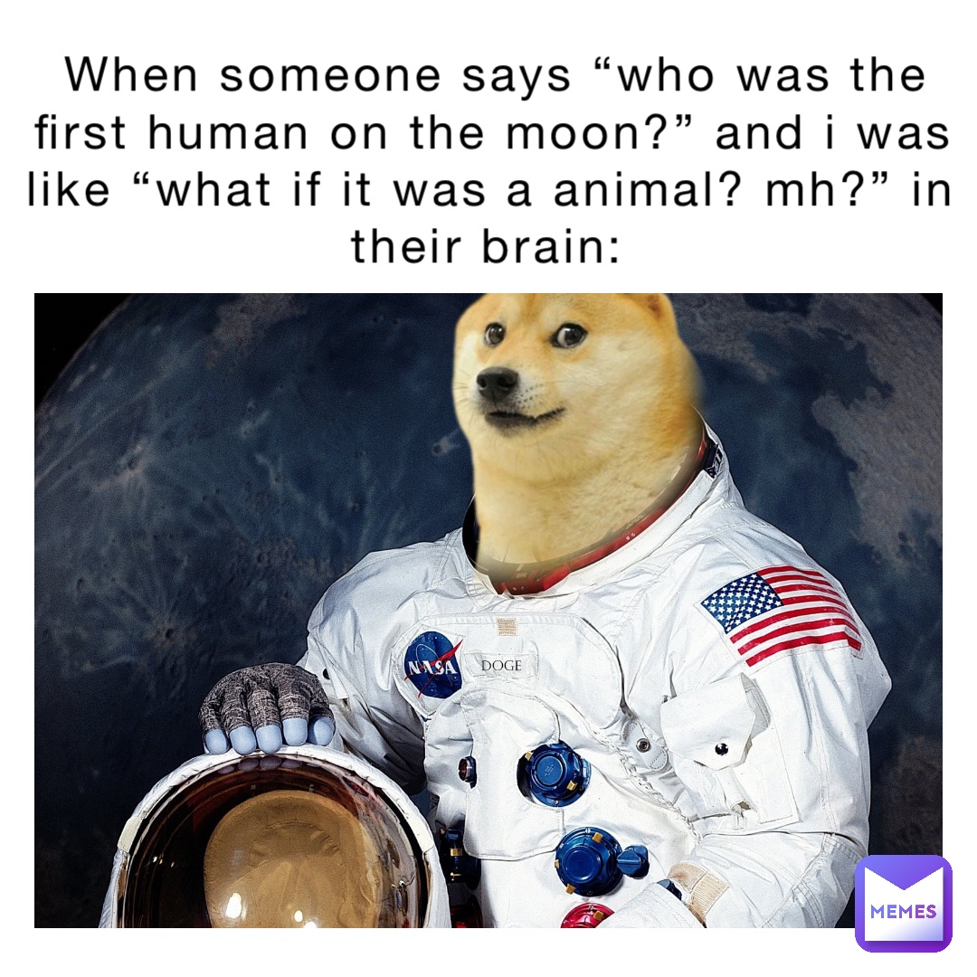 when someone says “who was the first human on the moon?” And I was like “what if it was a animal? Mh?” In their brain: