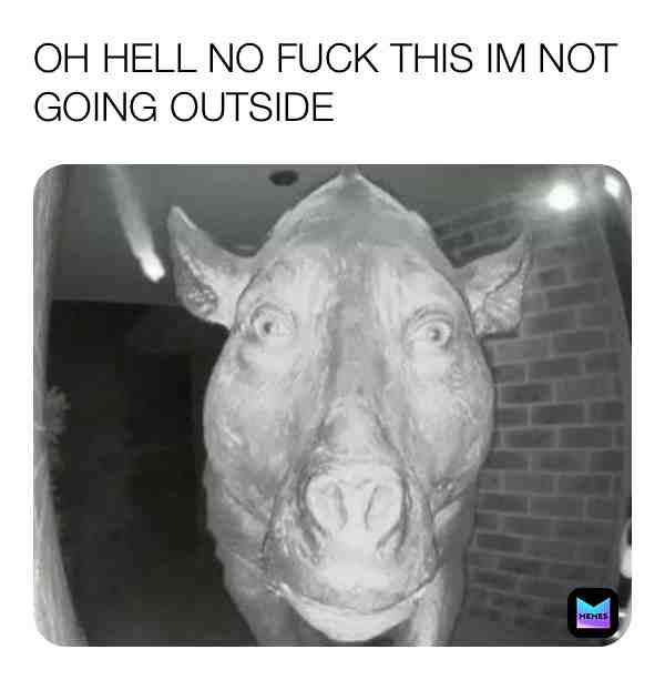 My #worst #nightmare really it’s #terrifying