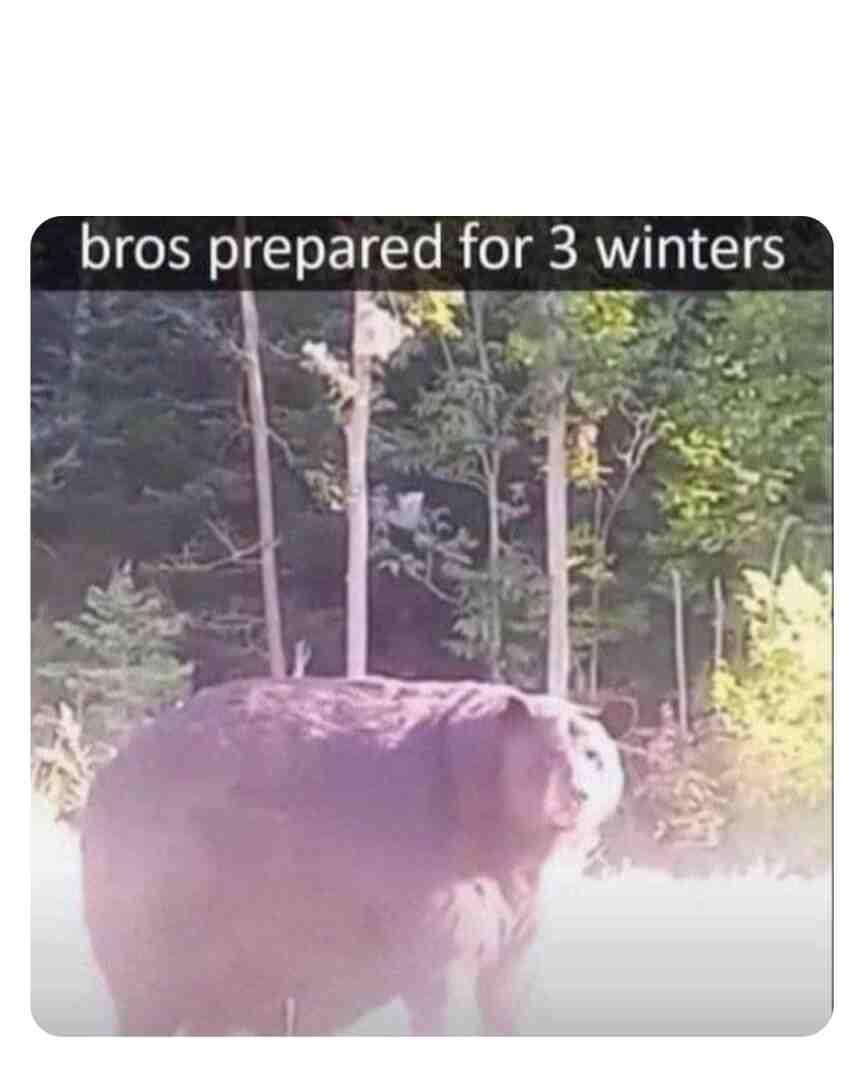 Meme preview