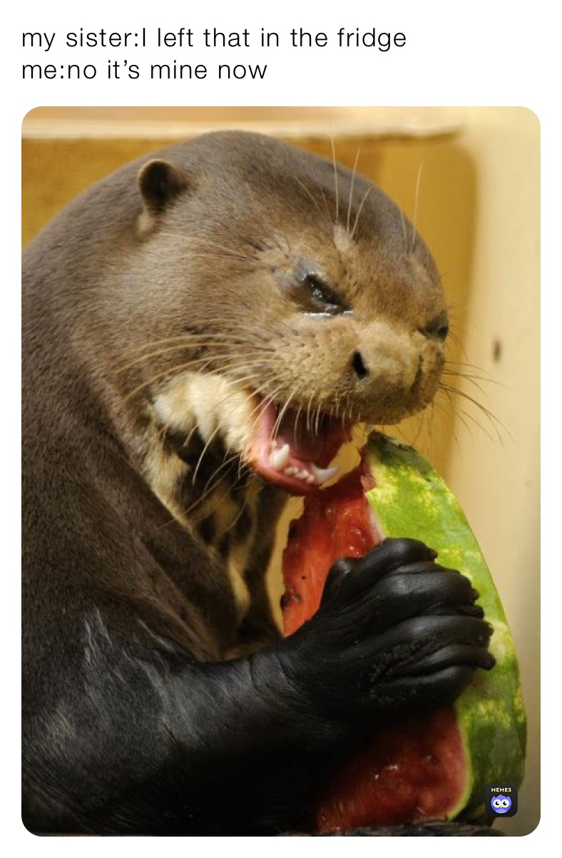 Meme by bootyjuice_2000