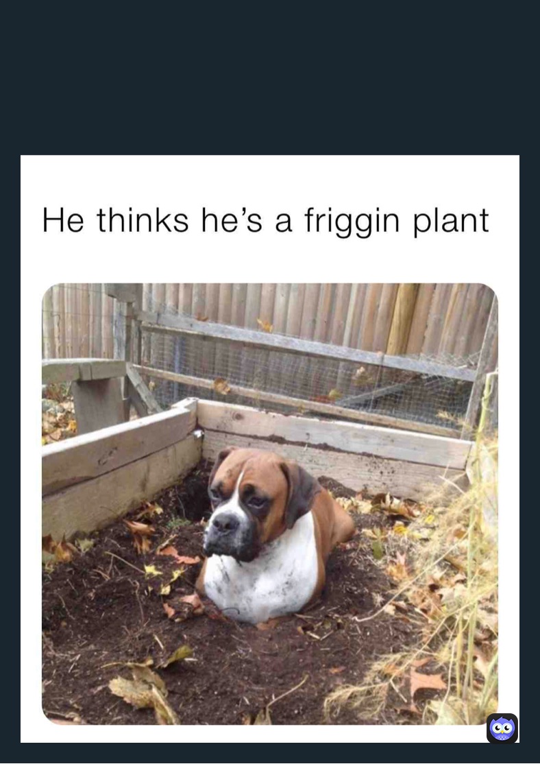 Meme by celeste1606091468