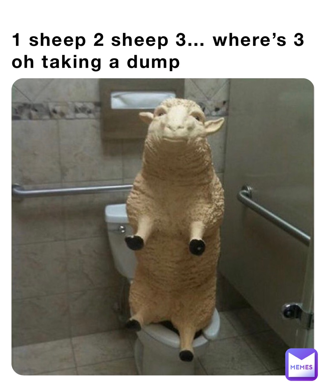 1 sheep 2 sheep 3… where’s 3 oh taking a dump