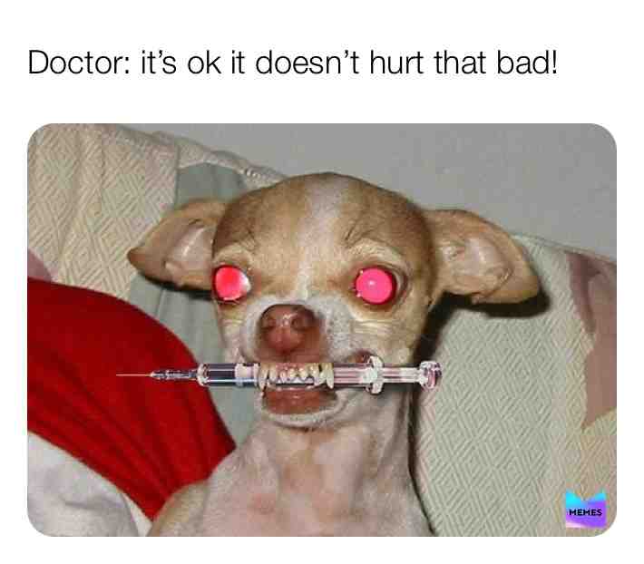 Meme shared by @georgiafoster