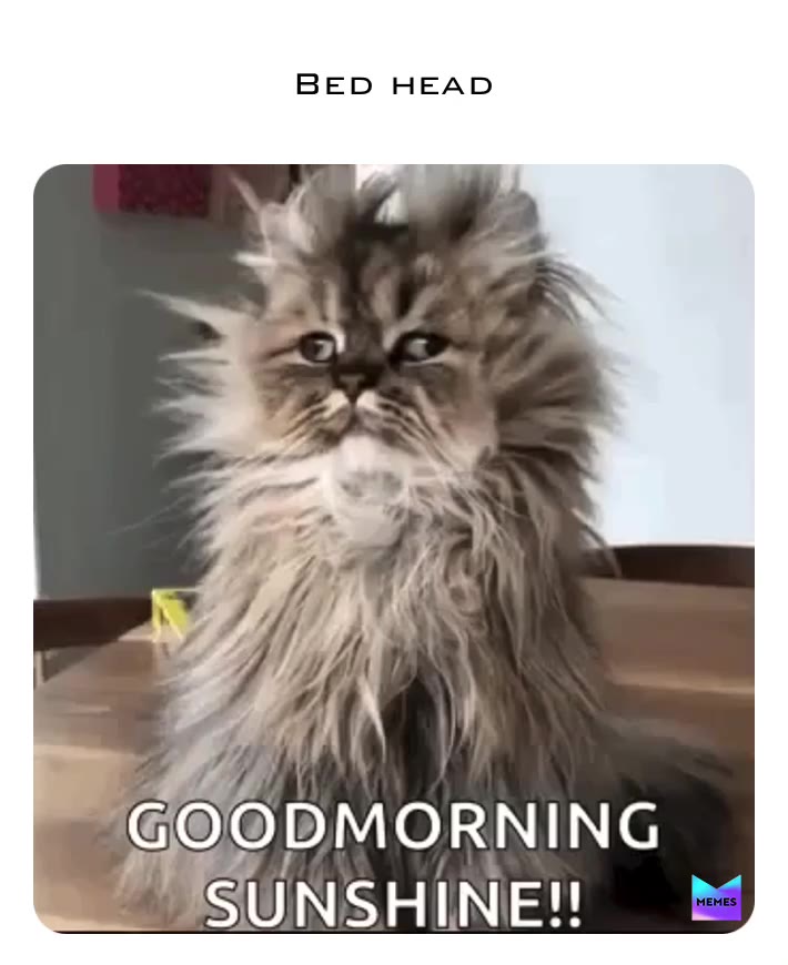 Good morning