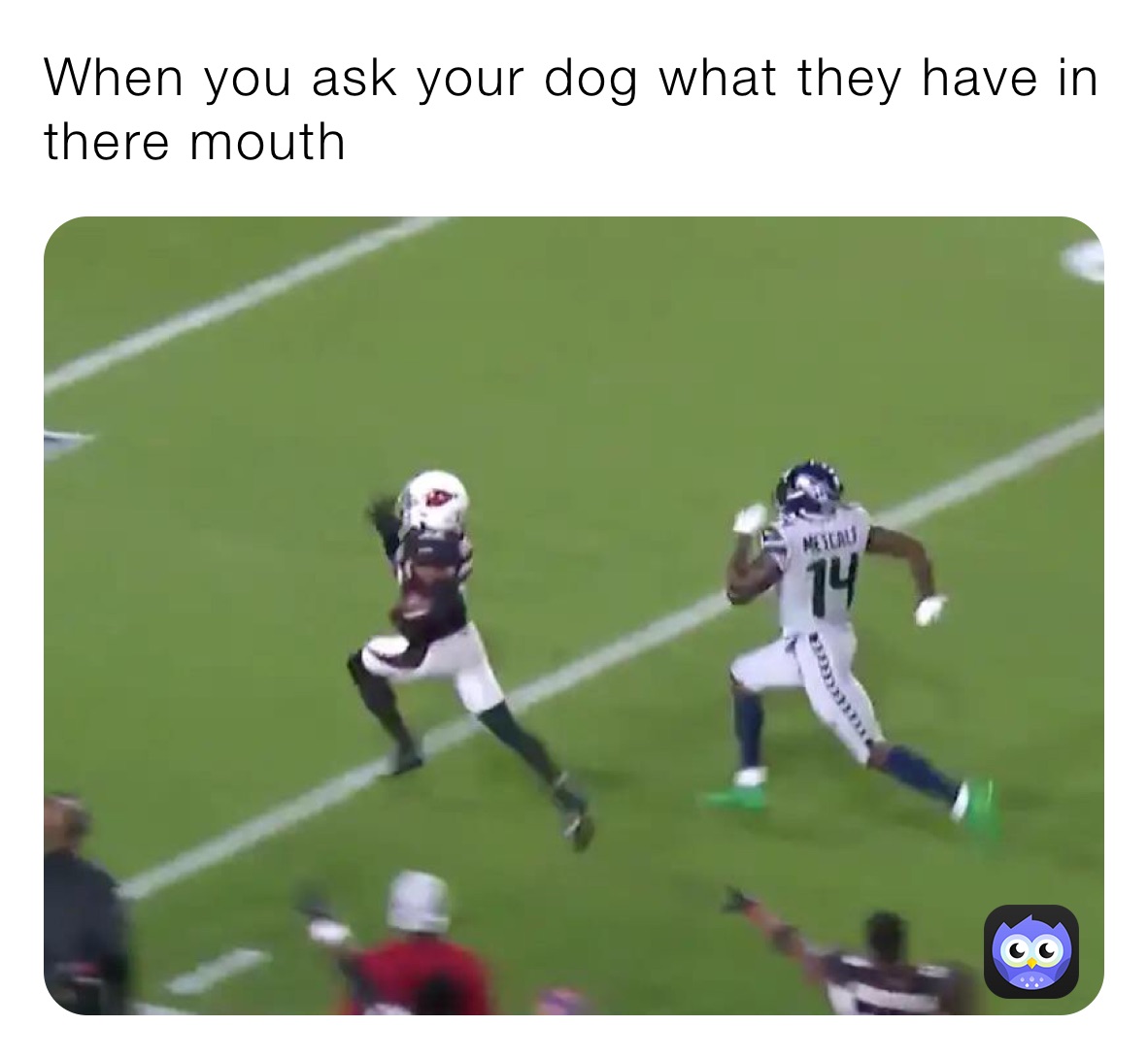 When you ask your dog what they have in there mouth