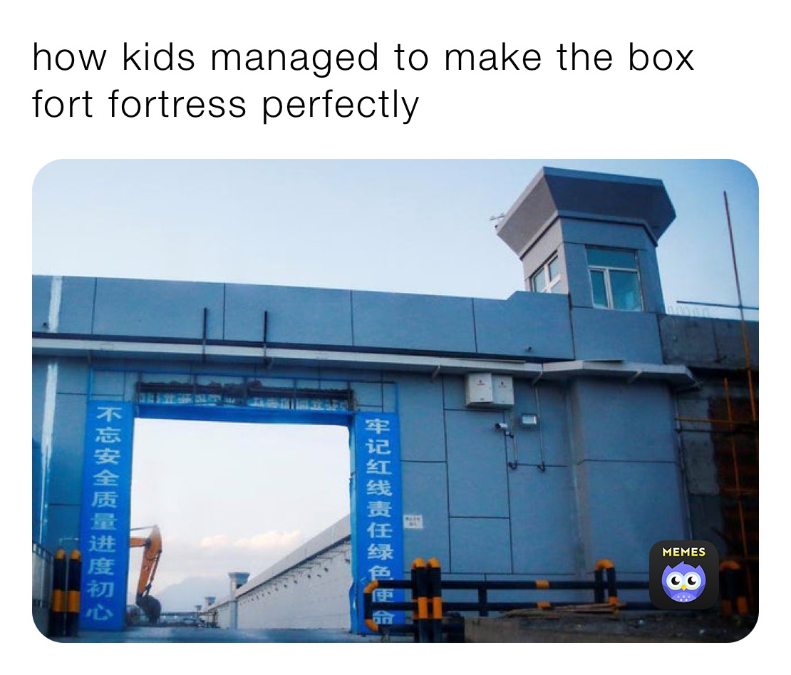 how kids managed to make the box fort fortress perfectly