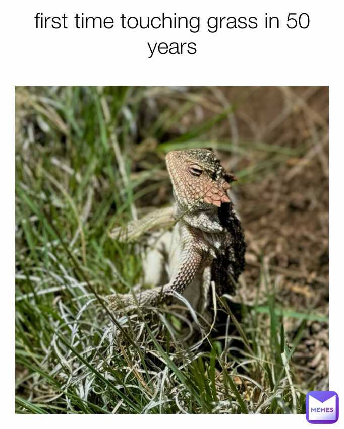 first time touching grass in 50 years
