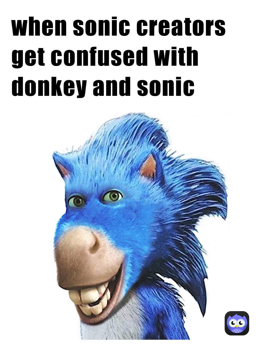 when sonic creators get confused with donkey and sonic