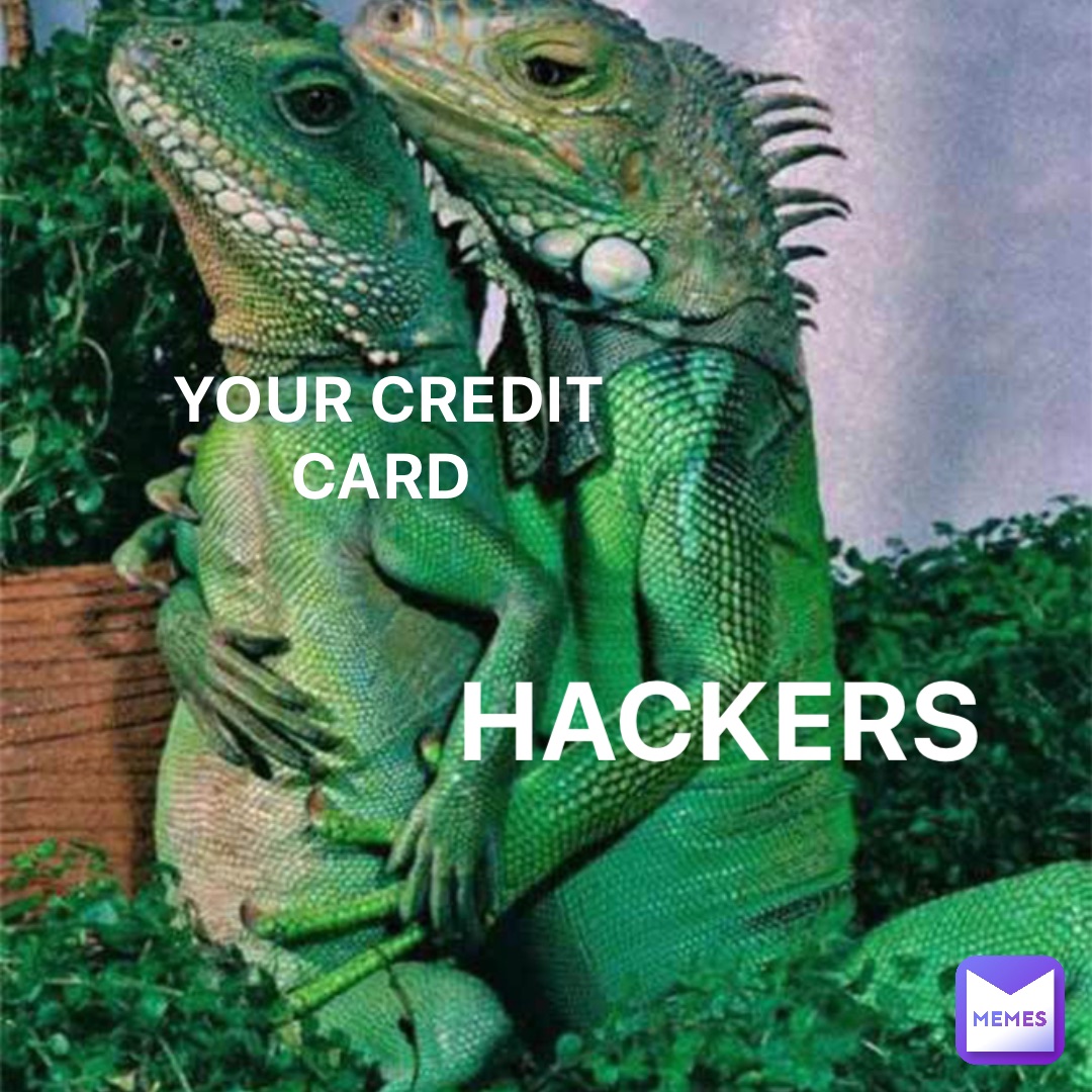 YOUR CREDIT CARD HACKERS