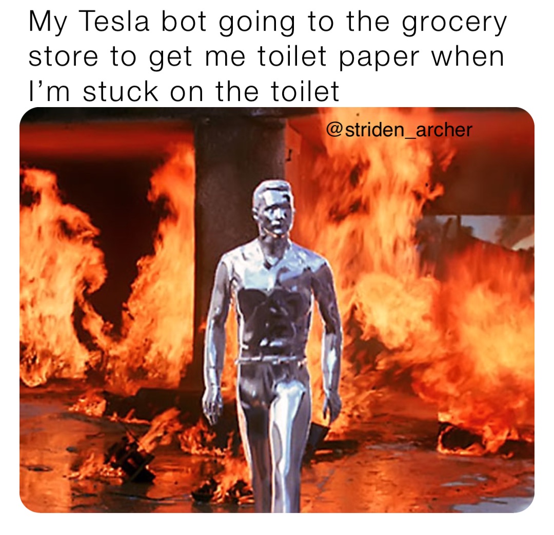 My Tesla bot going to the grocery store to get me toilet paper when I’m stuck on the toilet