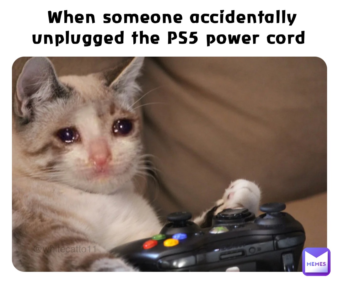 When someone accidentally unplugged the PS5 power cord ablyne.wenn