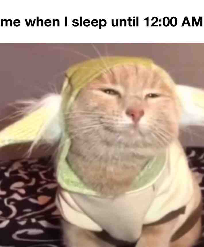 #cat  #sleep