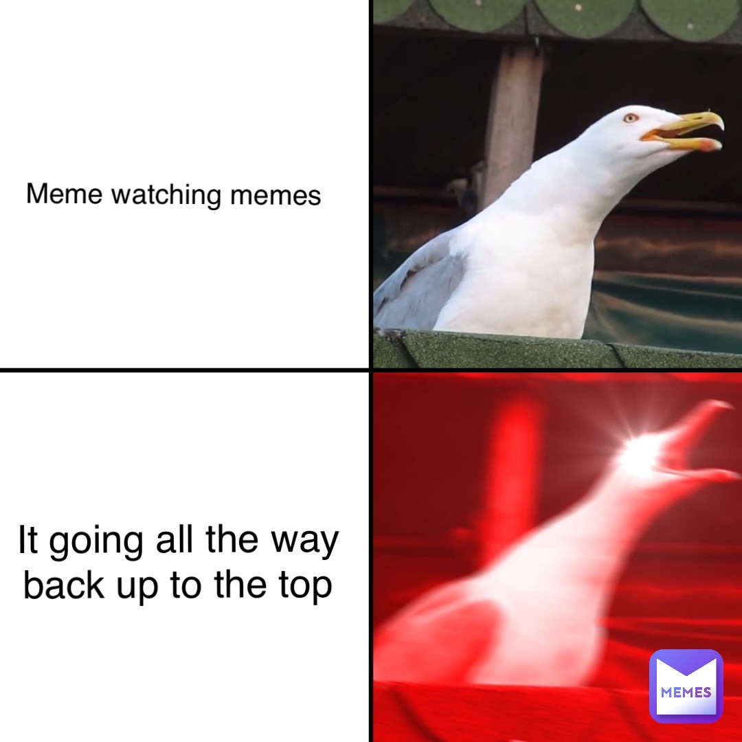 Meme watching memes It going all the way back up to the top