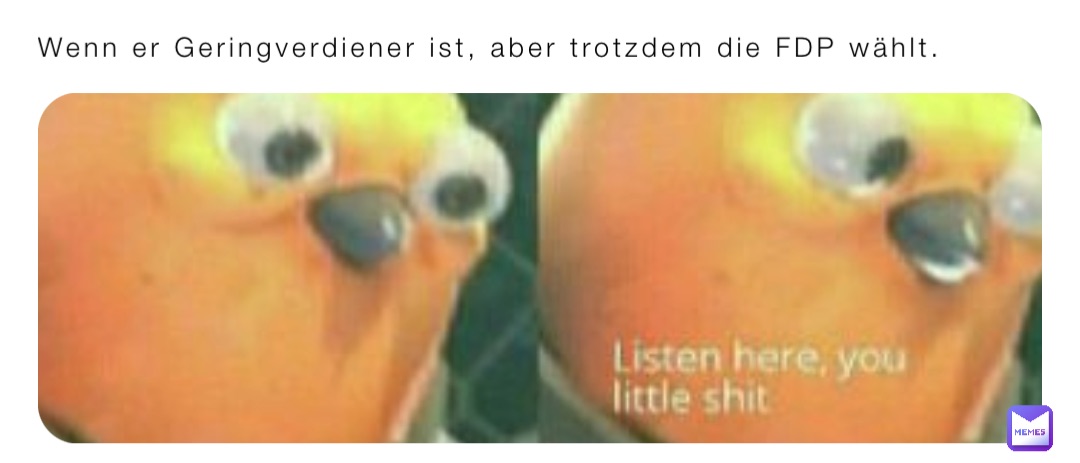 Wenn er Geringverdiener ist, aber trotzdem die FDP wählt.