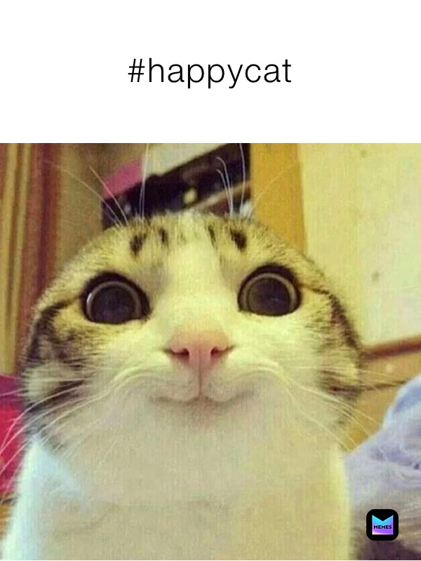 #happycat
