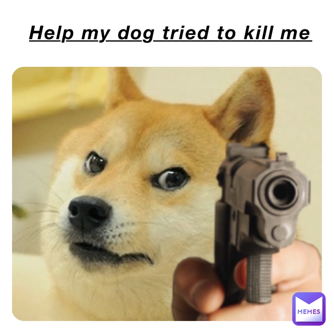 kill me meme dog