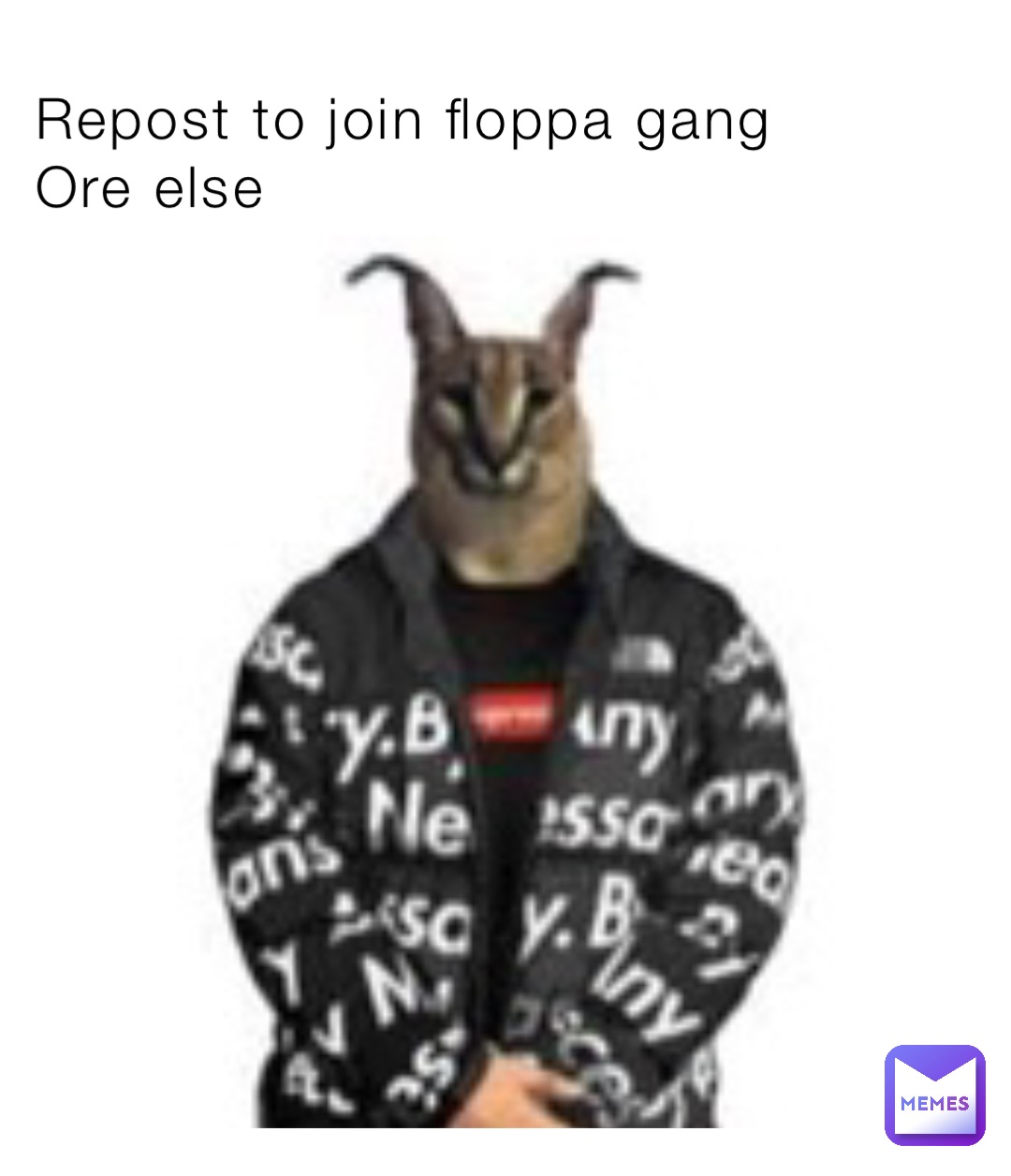 Repost to join floppa gang
Ore else