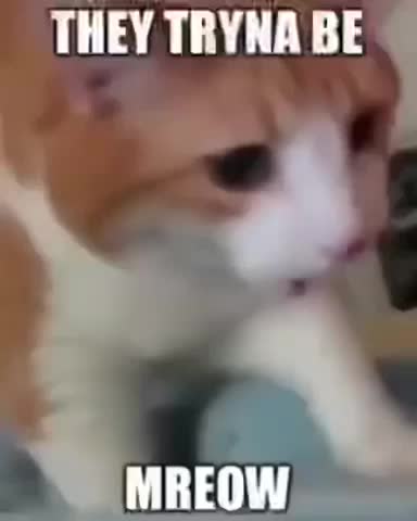 Meme shared by @Valerialovesyou