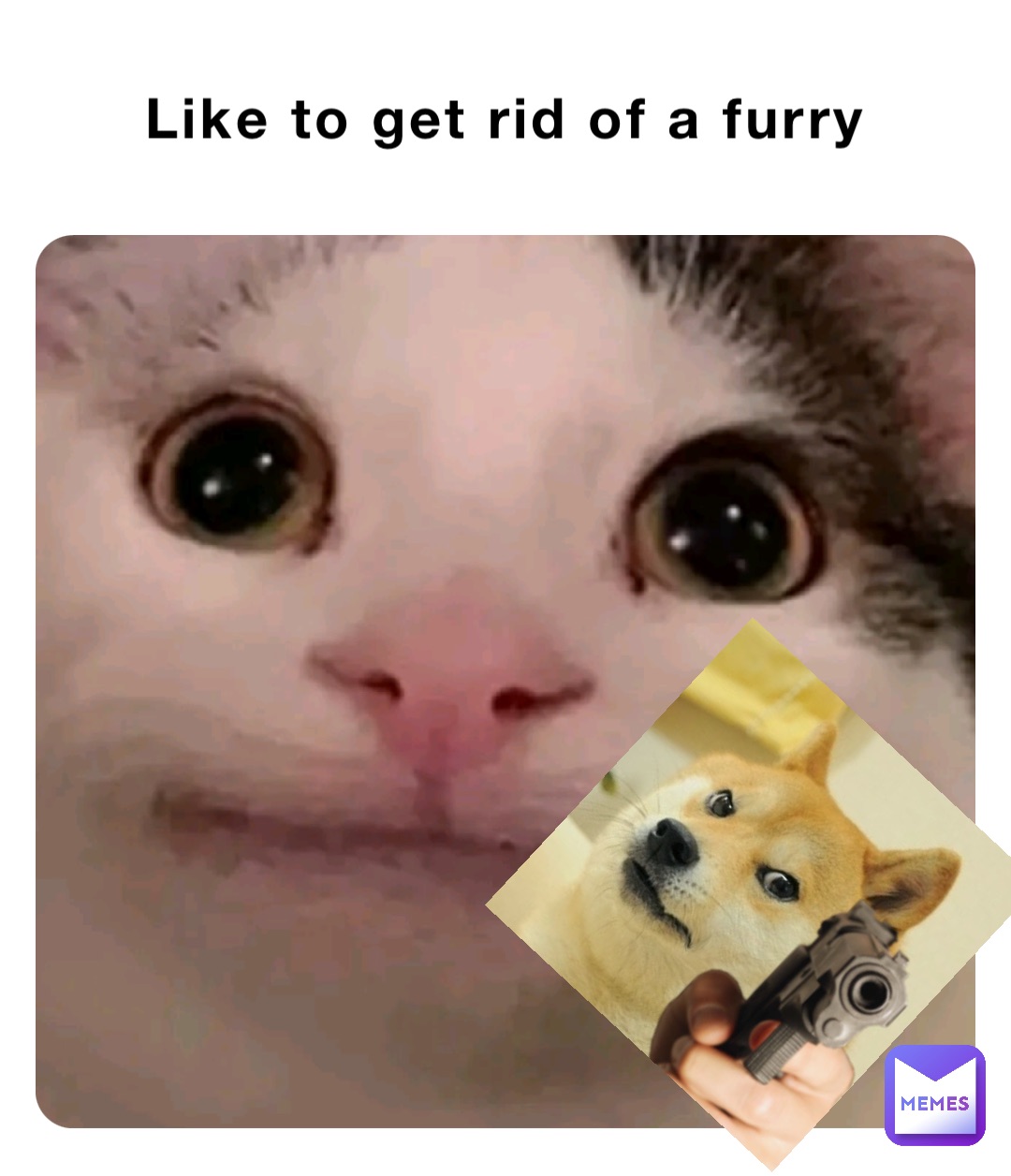 Like to get rid of a furry